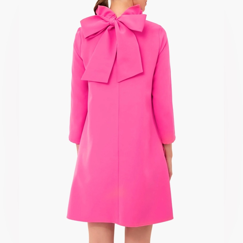 Tuckernuck pink dress. With bow tied in the back.